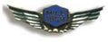 Mile High Wing Pin