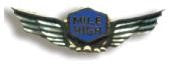 Mile High Wing Pin